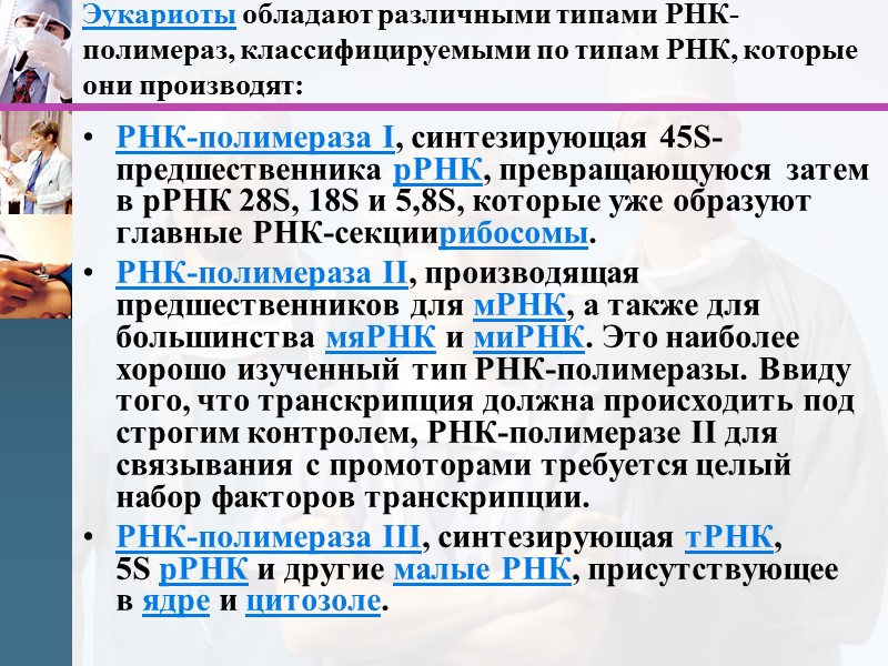 Эукариоты обладают различными типами РНК-полимераз, классифицируемыми по типам РНК, которые они производят: РНК-полимераза I,